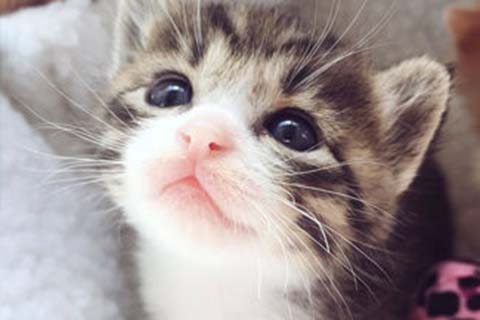 http://nantong.vdtfzz.com/post/208.html|南通人工试管
