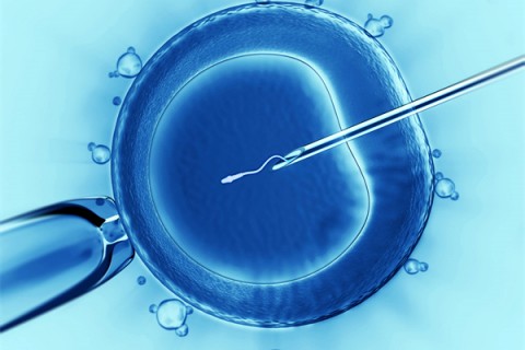 http://nantong.vdtfzz.com/post/198.html|南通代生助孕