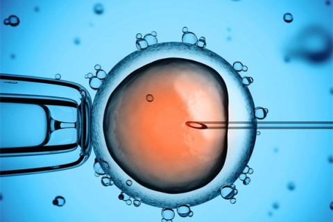 http://nantong.vdtfzz.com/post/206.html|南通新闻中心